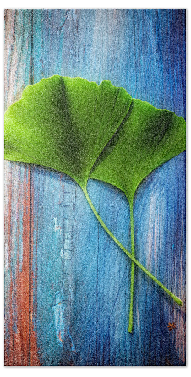 Ginkgo Beach Sheet featuring the photograph Two leaves of ginkgo biloba by Philippe Sainte-Laudy