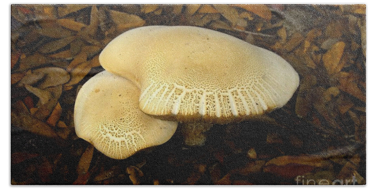 Mushrooms Beach Towel featuring the photograph Two Mushrooms by David Lee Thompson
