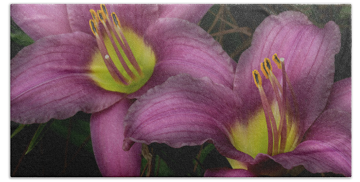 Day Lilies Beach Towel featuring the photograph Two Of A Kind by Mike Eingle