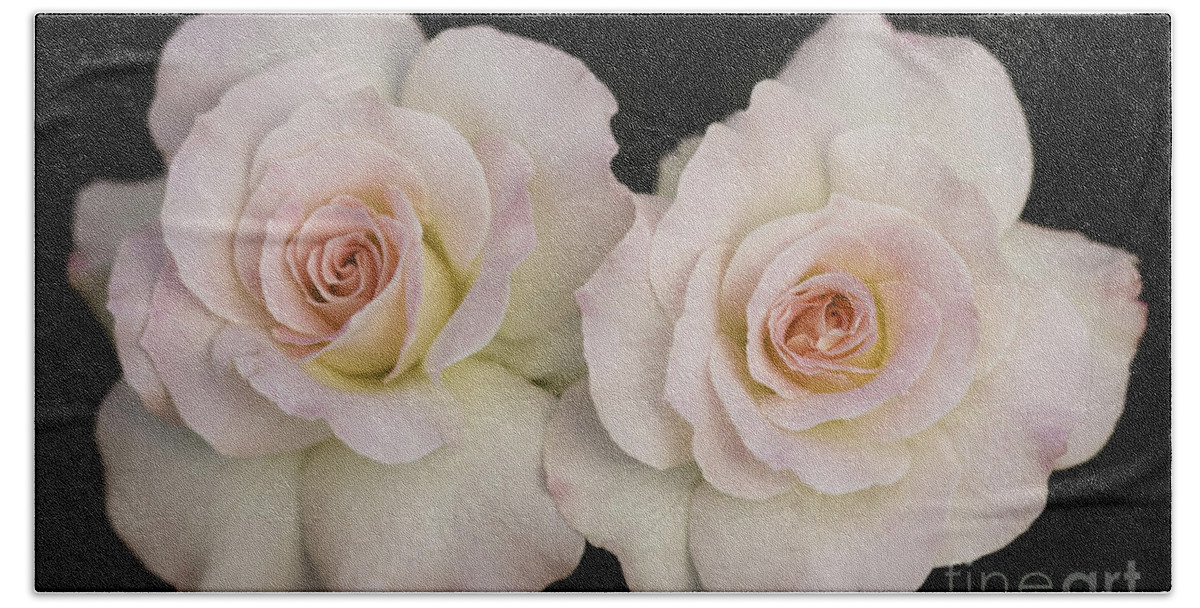 Roses Beach Towel featuring the photograph Two of a Kind by Patty Colabuono