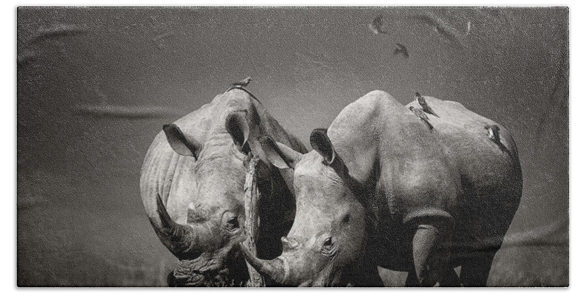 Rhinoceros Beach Sheet featuring the photograph Two Rhinoceros with birds in BW by Johan Swanepoel