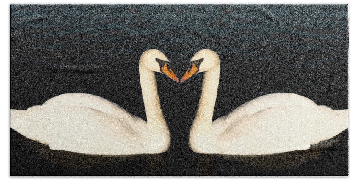 Two White Swans Beach Towel featuring the photograph Two Symmetrical White Love Swans by John Williams