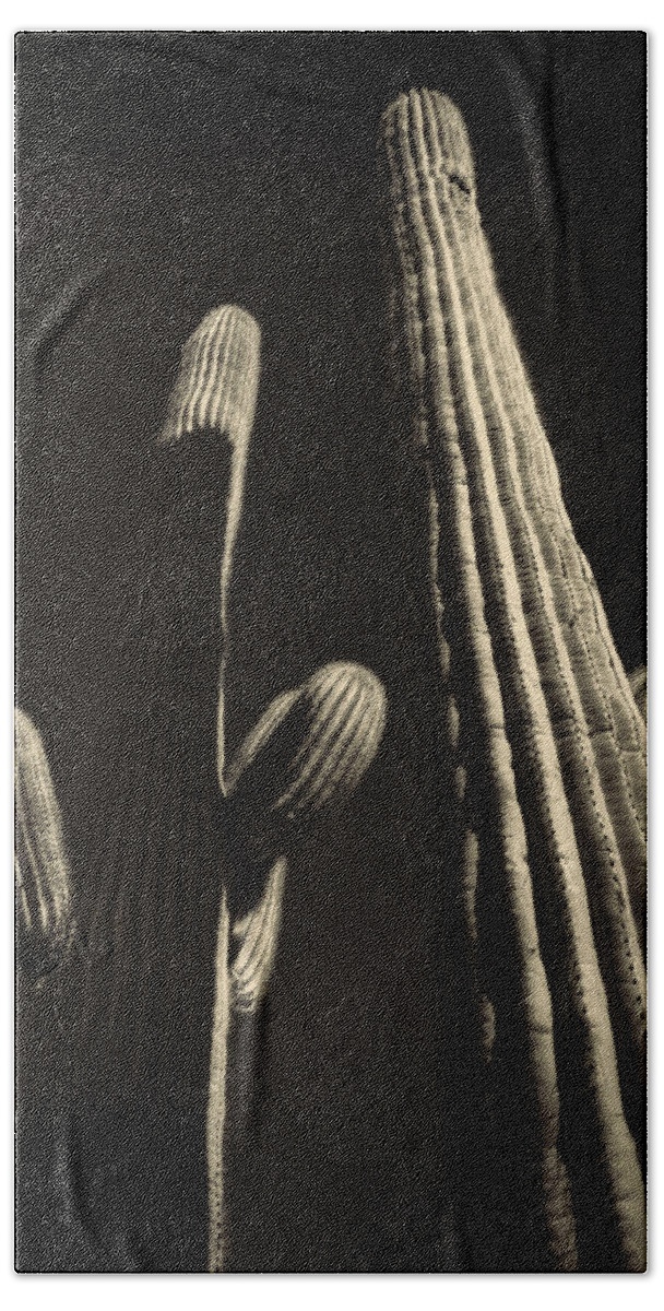 Arizona Beach Towel featuring the photograph Two Tall Saguaros by Roger Passman