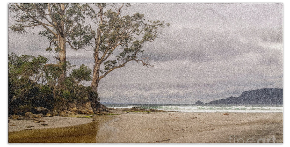 Landscape Beach Sheet featuring the photograph Two Tree Point by Werner Padarin