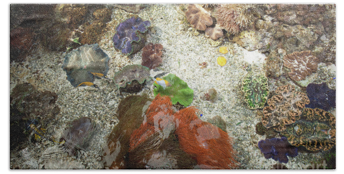 California Beach Towel featuring the photograph Under Water Life by Carol Lynn Coronios