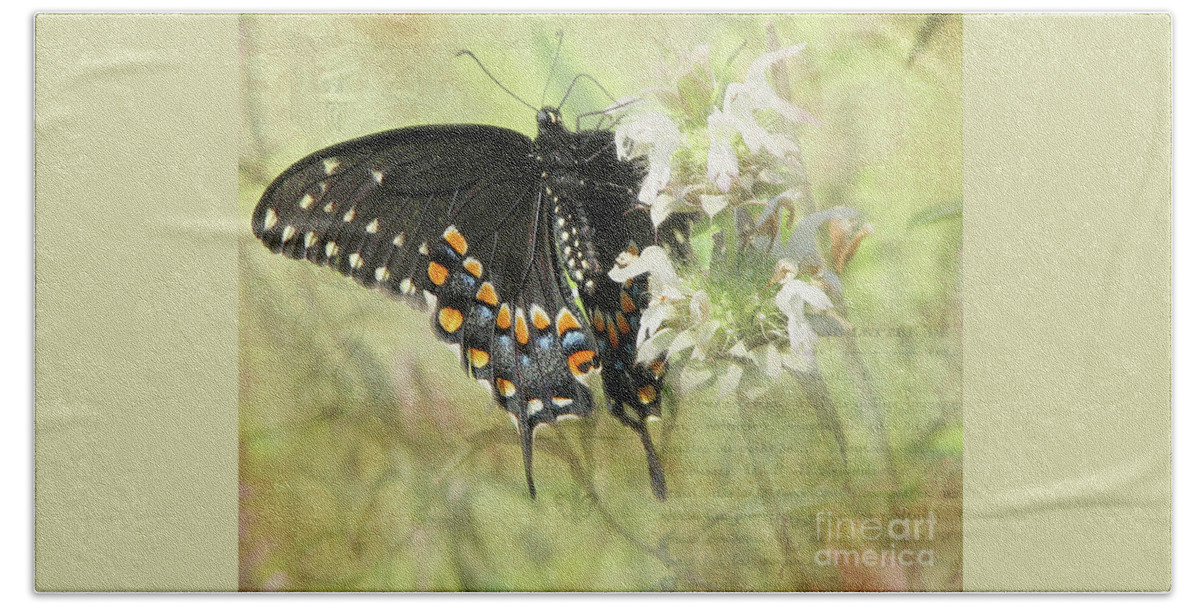 Butterfly Beach Towel featuring the photograph Underside of a Black Swallow Butterfly by TN Fairey