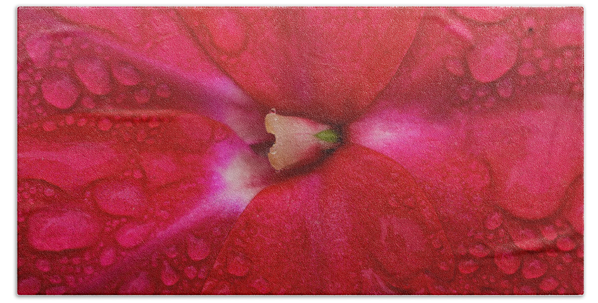 Granger Photography Beach Sheet featuring the photograph Up Close With Impatiens by Brad Granger