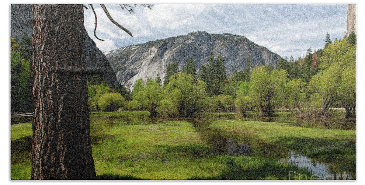 Meadow Beach Towel featuring the photograph Upper Meadow Mirror Lake by David Arment