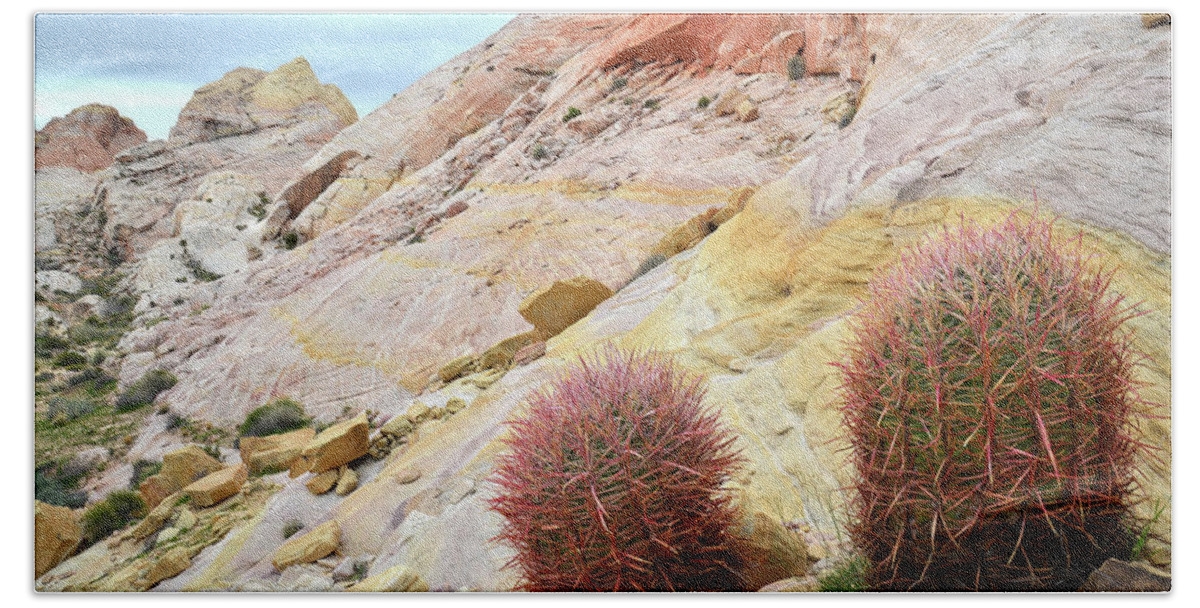 Valley Of Fire State Park Beach Towel featuring the photograph Valley of Fire Barrel Cactus by Ray Mathis