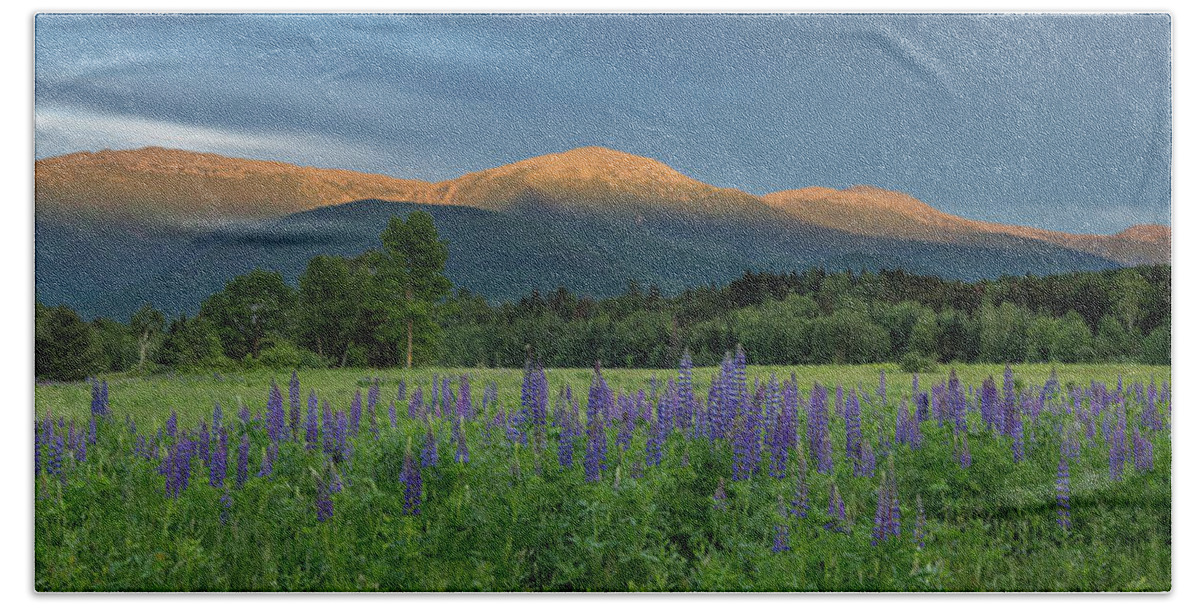 Valley Beach Sheet featuring the photograph Valley Way Lupine Sunset by White Mountain Images