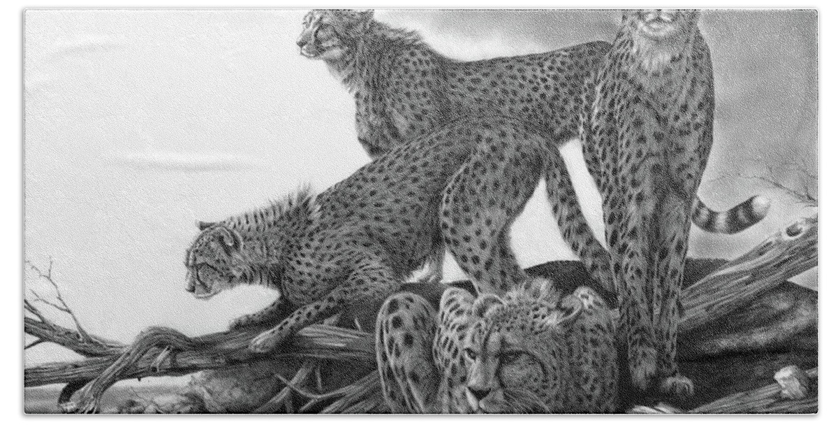 Cheetah Beach Towel featuring the drawing Vantage by Peter Williams