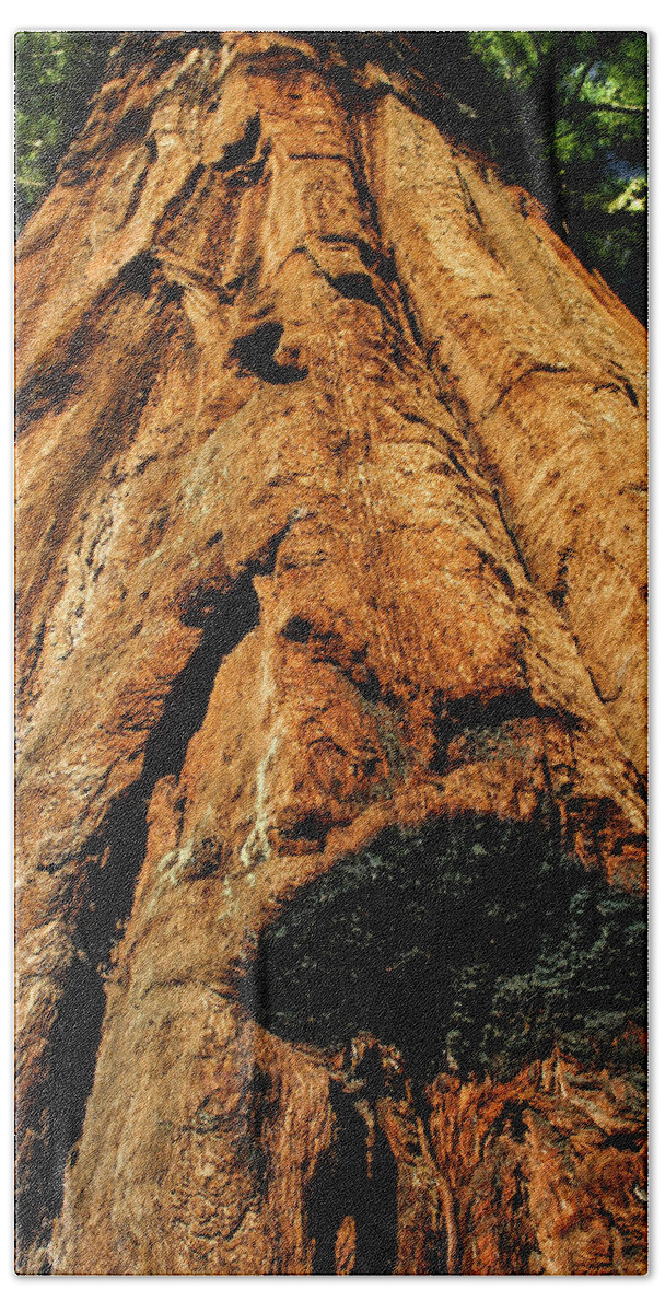 Yosemite Beach Sheet featuring the photograph Venerable Giant by Doug Scrima