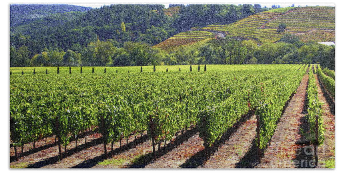 Vineyards Beach Towel featuring the photograph Vineyards in Sonoma County by Charlene Mitchell