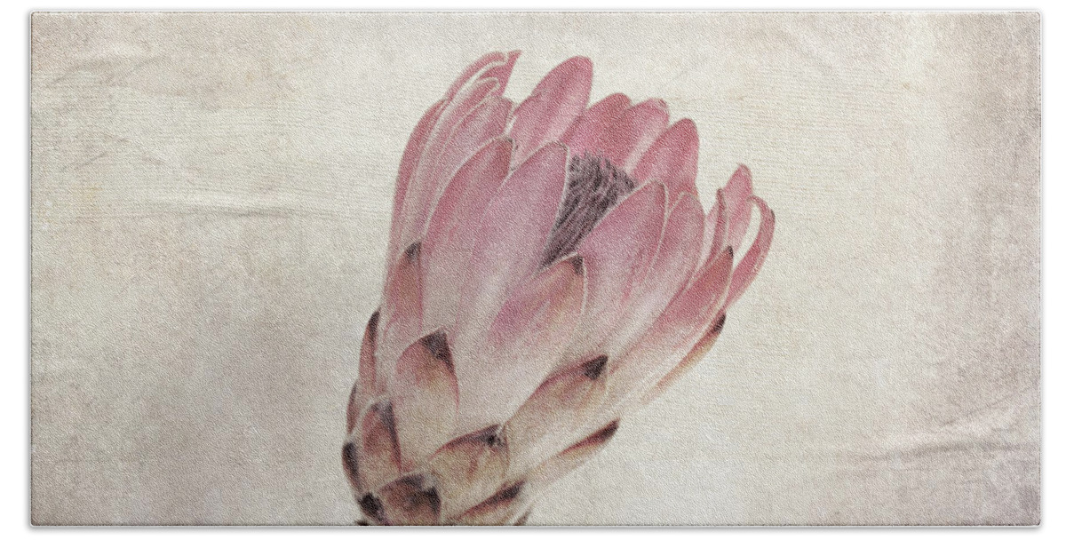 Protea Beach Sheet featuring the photograph Vintage protea flower by Jane Rix