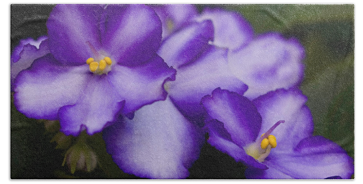 Violet Beach Sheet featuring the photograph Violet Dreams by William Jobes