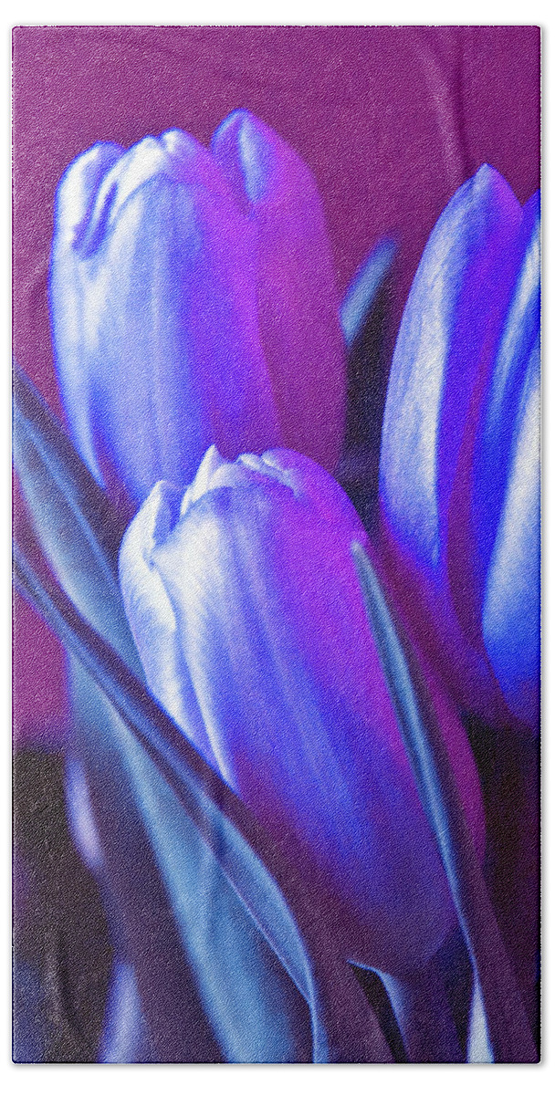 Violet Poetry Of Spring Beach Sheet featuring the photograph Violet Poetry of Spring by Silva Wischeropp