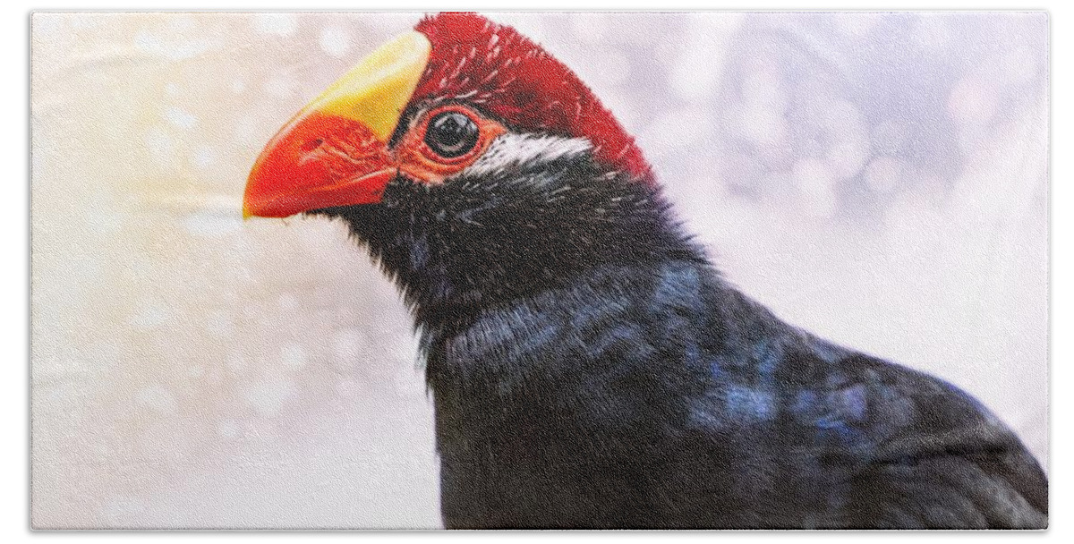 Violet Turaco Beach Towel featuring the photograph Violet Turaco by Jaroslav Buna