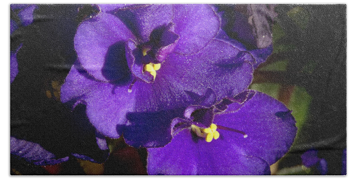 Flowers Beach Towel featuring the photograph Violets by Phyllis Denton