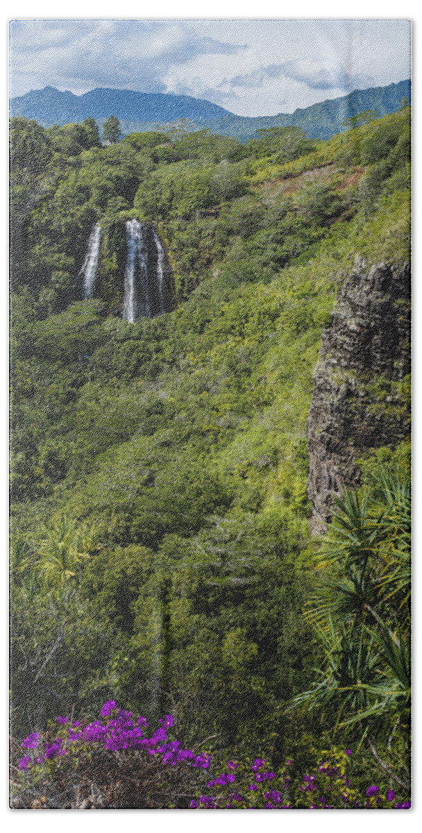Hawaii Beach Towel featuring the photograph Wailua Falls and Tropical Plants by Robert Potts