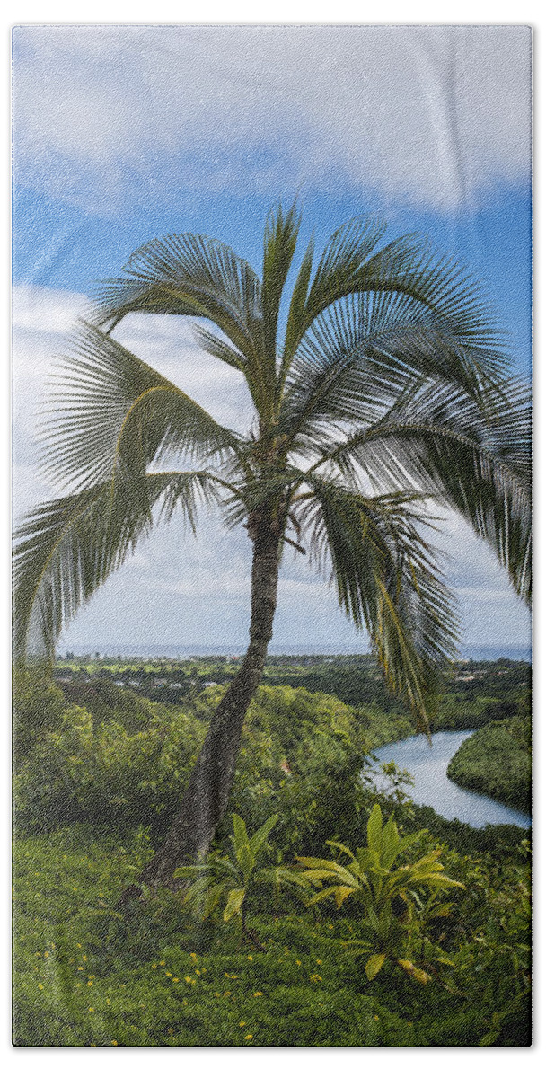Coast Beach Towel featuring the photograph Wailua River by Robert Potts