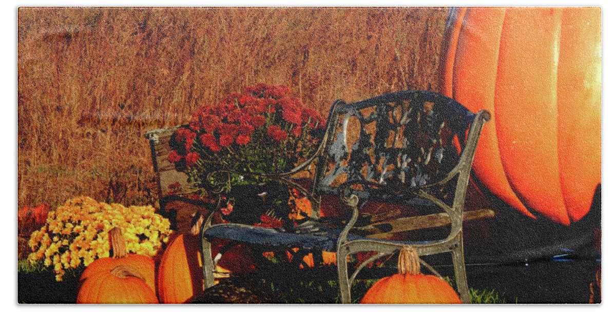 Autumn Beach Towel featuring the photograph Waiting for the Great Pumpkin by Wild Thing