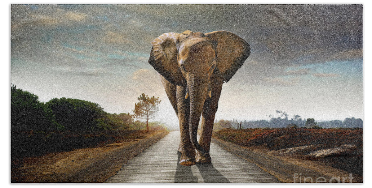 African Beach Sheet featuring the photograph Walking Elephant by Carlos Caetano