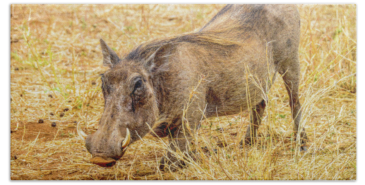 Africa Beach Towel featuring the photograph Warthog by Marilyn Burton