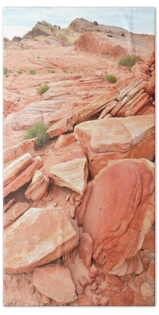 Valley Of Fire State Park Beach Towel featuring the photograph Wash 4 Color in Valley of Fire by Ray Mathis