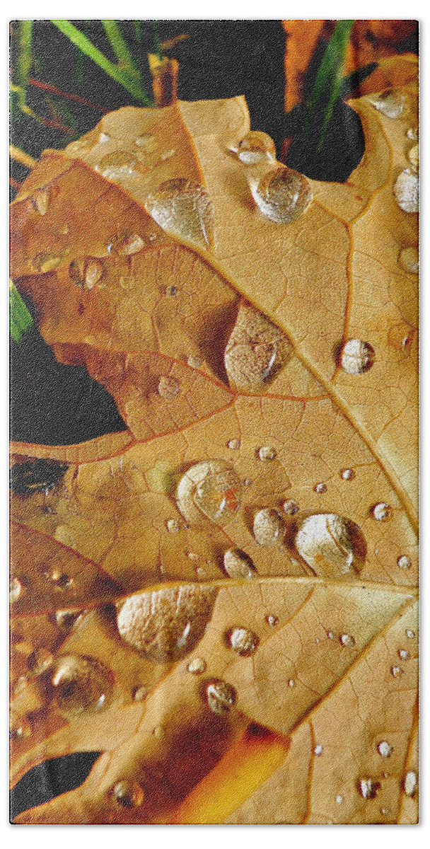 Leaves Beach Towel featuring the photograph Water Drops by Liz Vernand