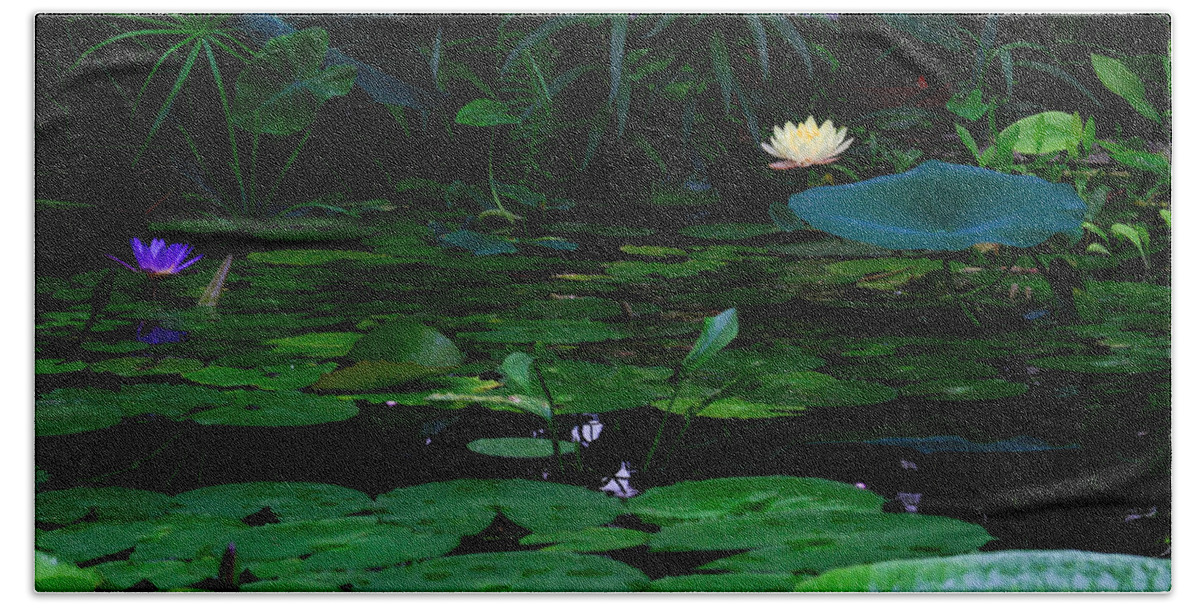 Bonnie Follett Beach Sheet featuring the photograph Water Lilies in the Pond by Bonnie Follett