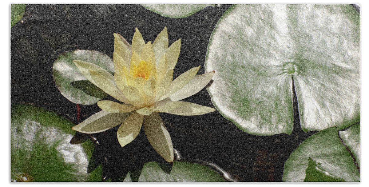 Zen Beach Sheet featuring the photograph Water Lilies by Windy Osborn