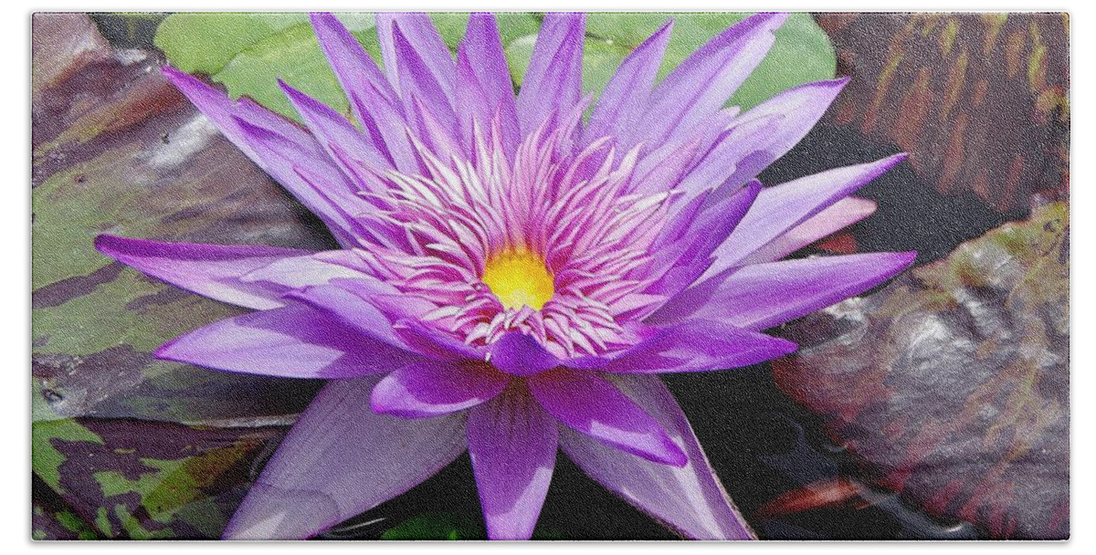 Water Lily Beach Towel featuring the photograph Water Lily 1 by Phyllis Spoor