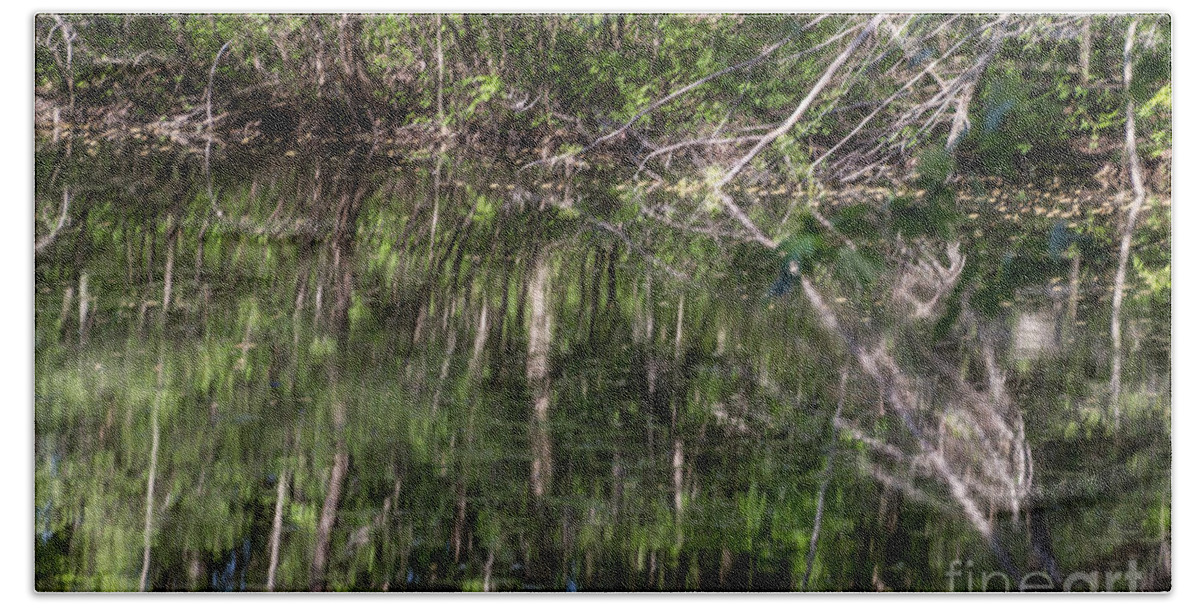 Swamp Beach Towel featuring the photograph Water Reflection by William Norton