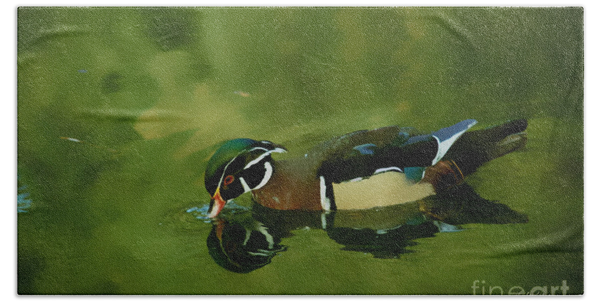 Claudia's Art Dream Beach Sheet featuring the photograph Male Wood Duck Water Reflections by Claudia Ellis