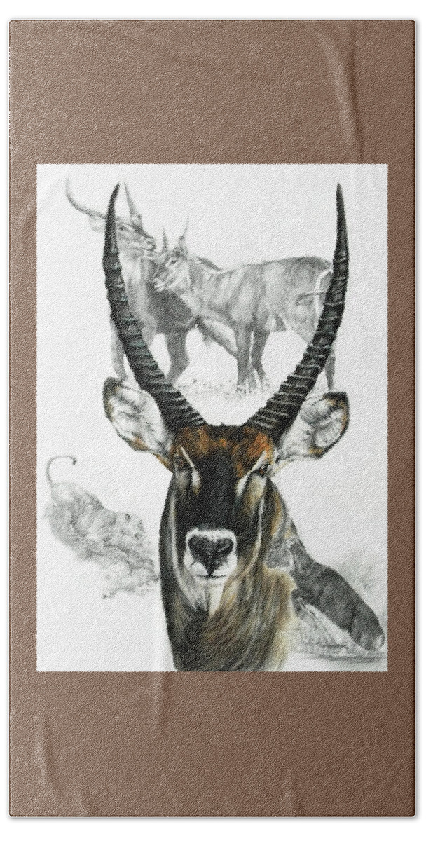 Ungulate Beach Towel featuring the mixed media African Waterbuck Collage by Barbara Keith