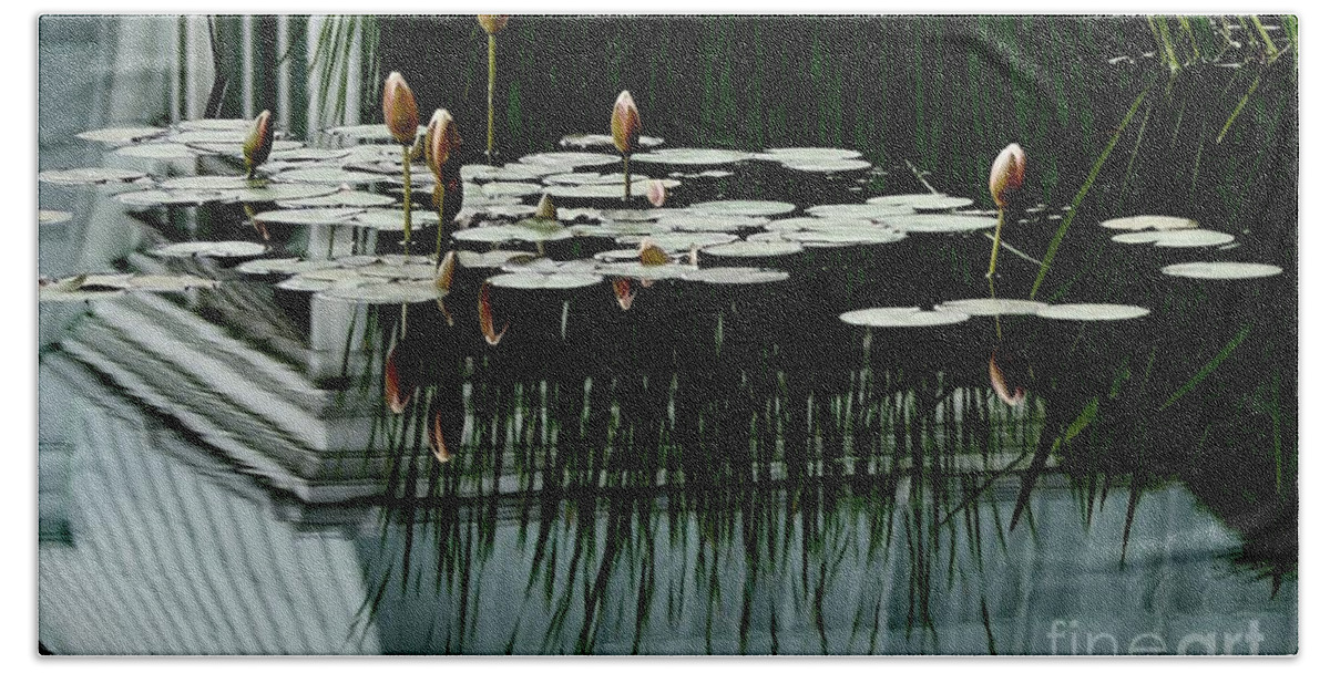 Reflections Beach Towel featuring the photograph Waterlily Reflections by Margie Avellino