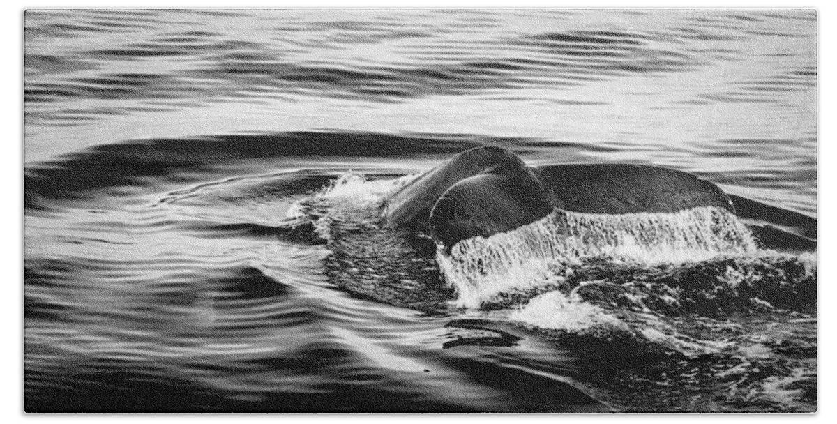 Europe Beach Towel featuring the photograph Wave Good Bye by Alexey Stiop