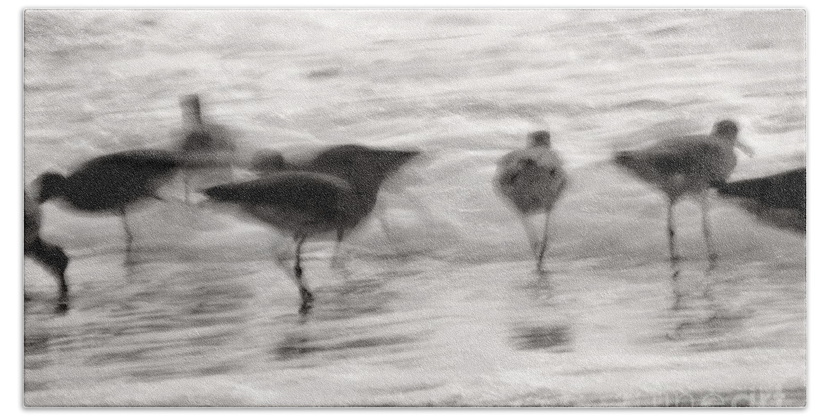 Blue Beach Towel featuring the photograph Plundering Plover Series in Black and White 3 by Angela Rath