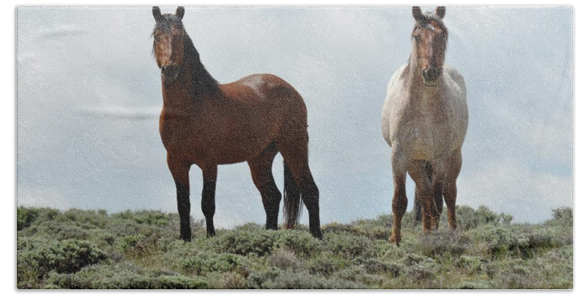 Wild Horses Beach Towel featuring the photograph We See You by Frank Madia