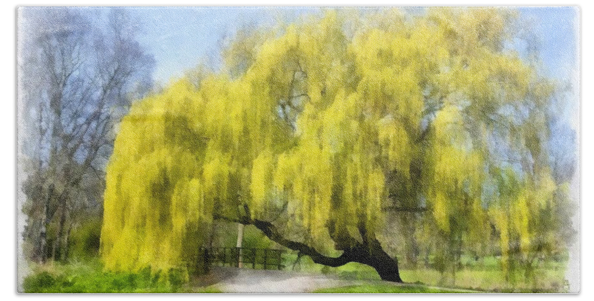Weeping Willow Beach Towel featuring the painting Weeping Willow Aquarelle by Maciek Froncisz