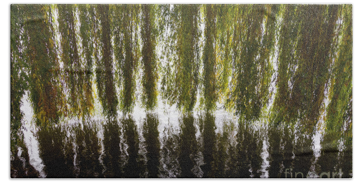 Weeping Willow Beach Towel featuring the photograph Weeping willow branches by Perry Van Munster