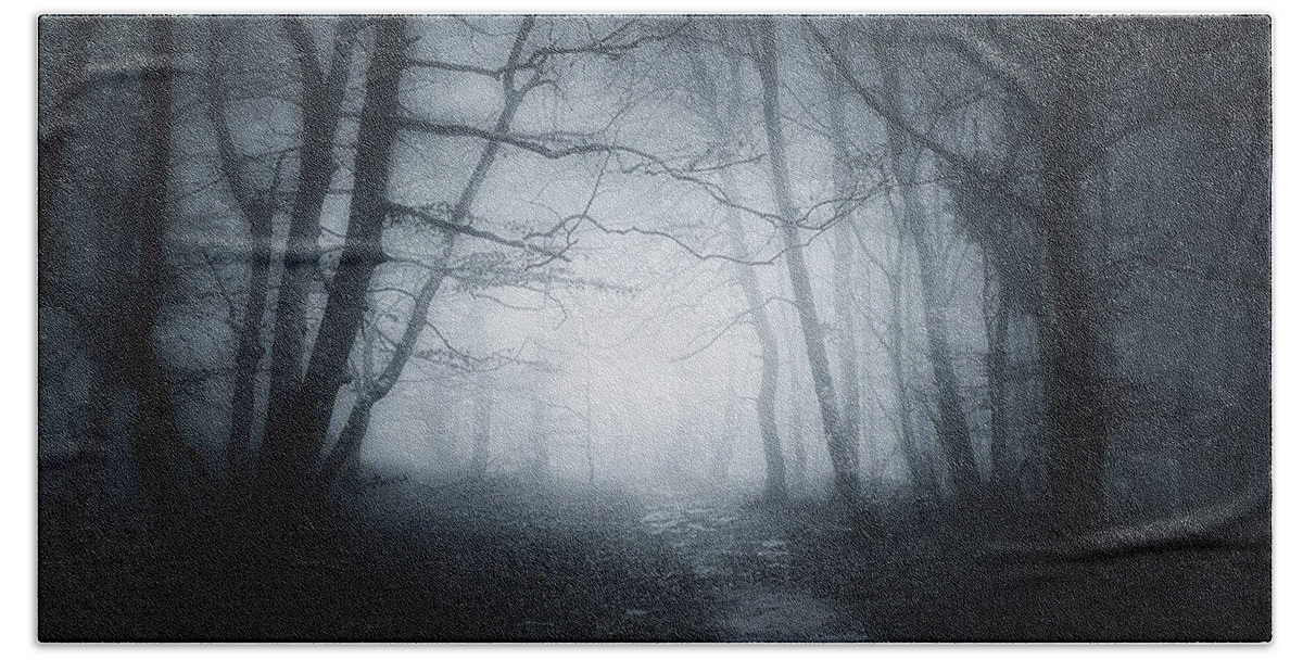 Scary Beach Towel featuring the photograph Welcome to the forest by Mikel Martinez de Osaba