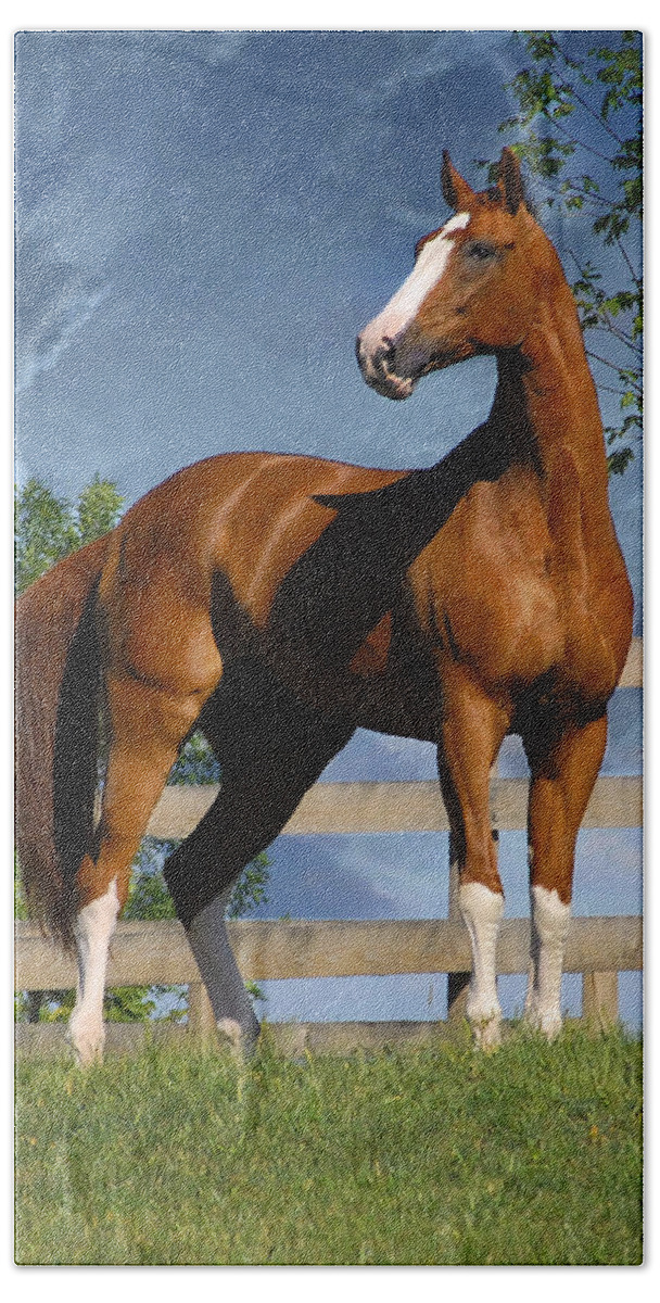 Horses Beach Towel featuring the photograph Welt Adel by Fran J Scott