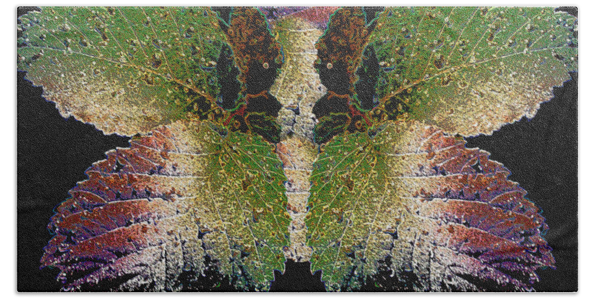 Butterfly Beach Towel featuring the photograph Wet Leaf Metamorphosis by Nina Silver