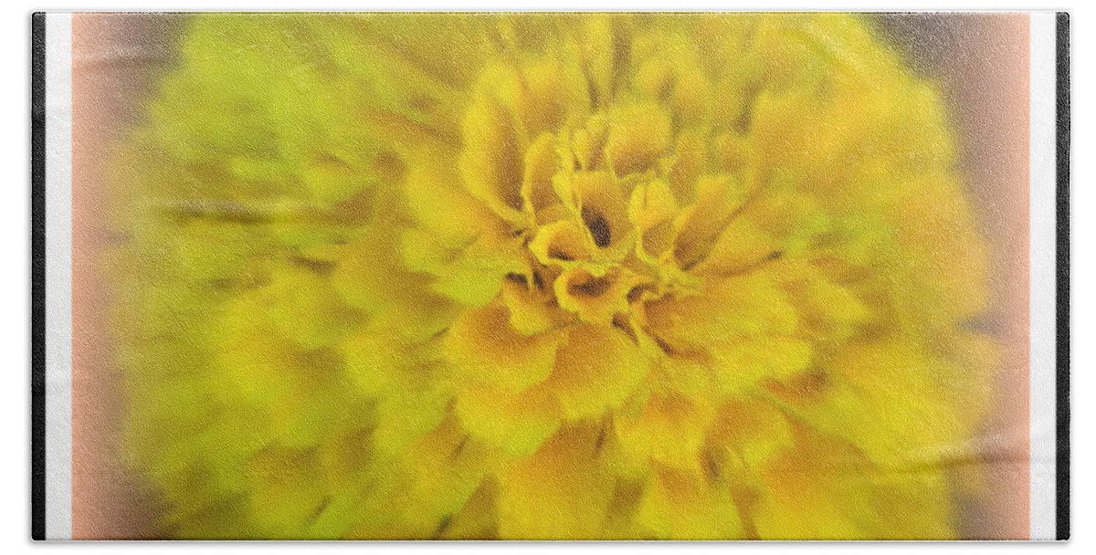  Beach Towel featuring the photograph What a Bloom by Kimberly Woyak