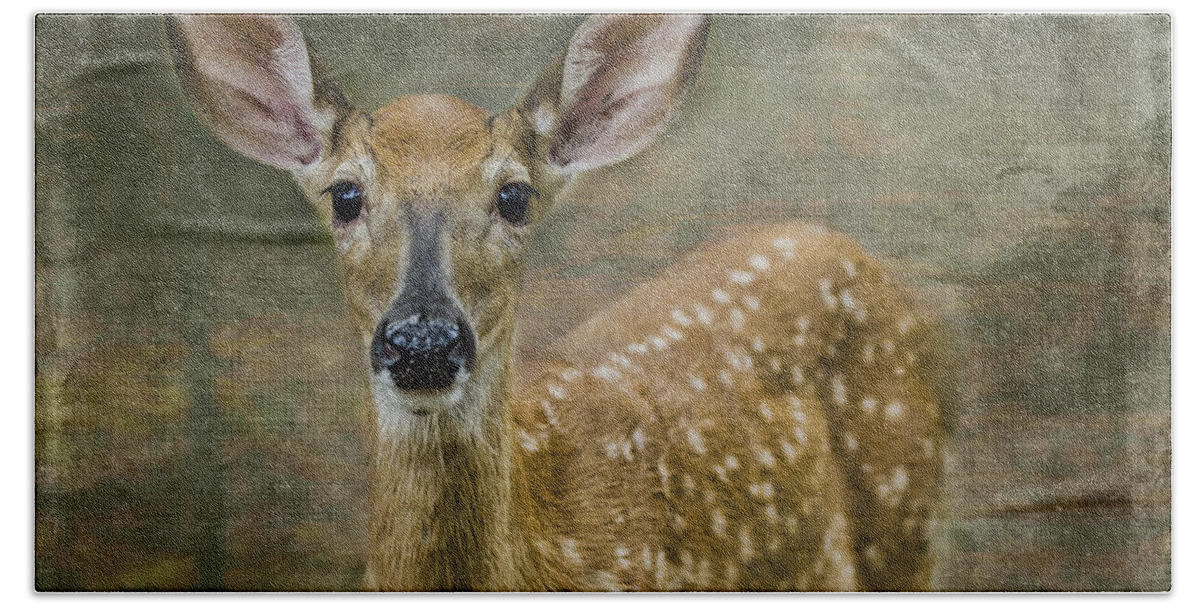 Fawn Beach Towel featuring the photograph What Big Ears You Have by Peg Runyan
