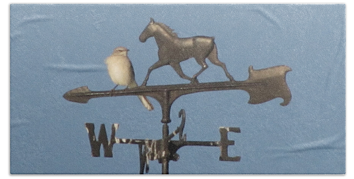 Weather Vane Beach Towel featuring the photograph What Did You Say by Donna Brown