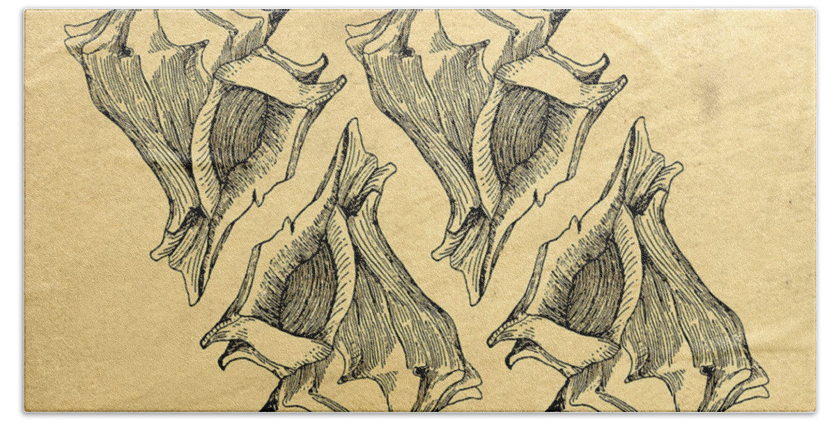 Whelk Beach Towel featuring the digital art Whelk Seashells Vintage by Edward Fielding