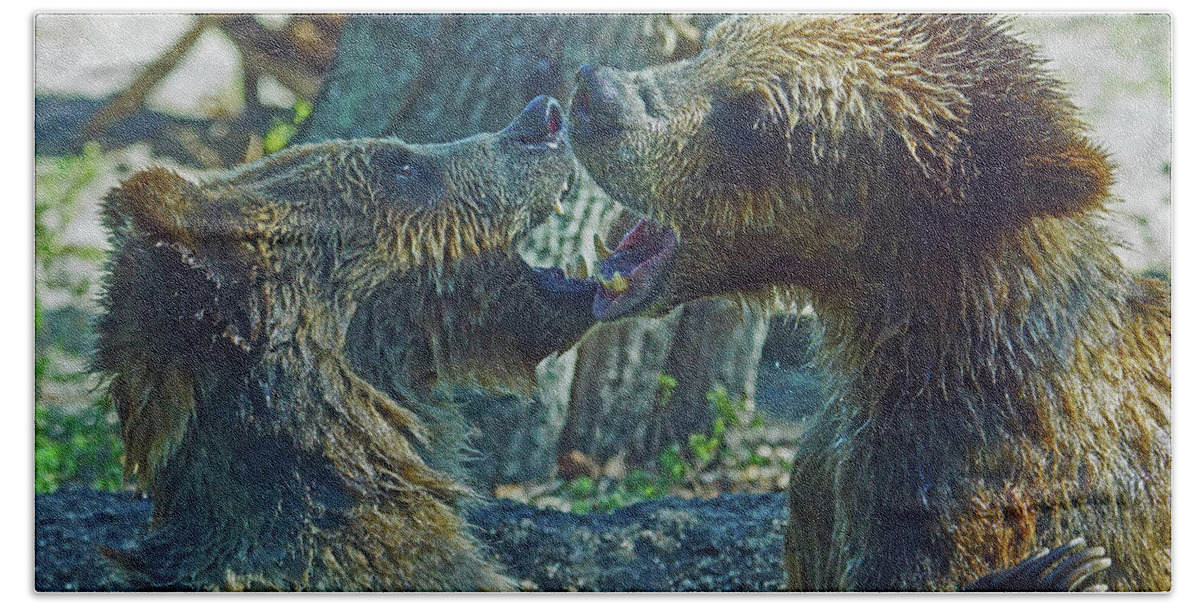 Bear Beach Towel featuring the photograph When Grizzlies Play II by Larry Nieland