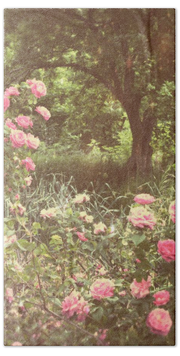 Rose Garden Beach Sheet featuring the photograph Where Our Dreams Take Us by Mary Wolf